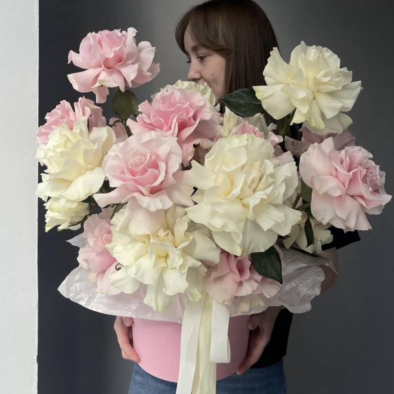 Нет заданного изображения 