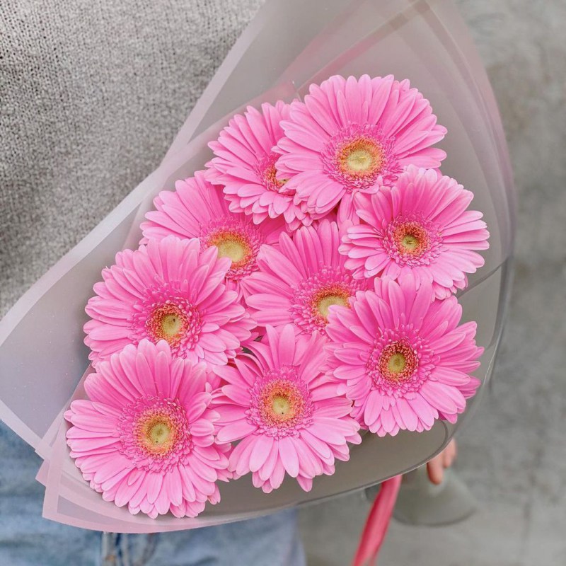 Герберы в Молдове