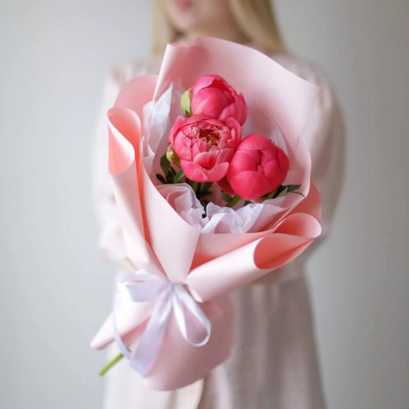 Коралловые пионы Кишинев