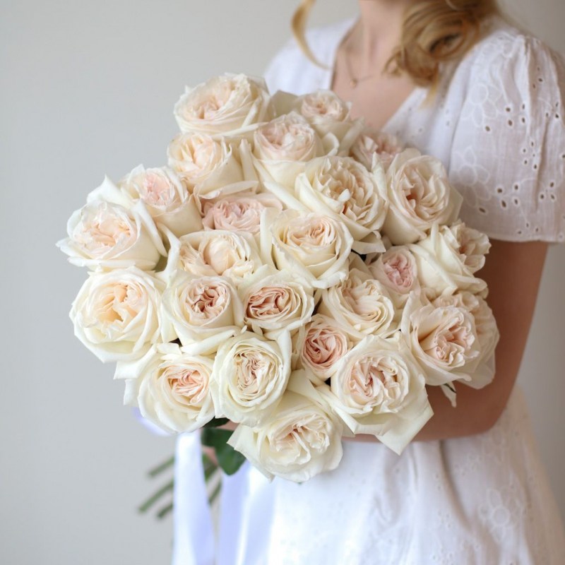 Роза пионовидная Кишинев