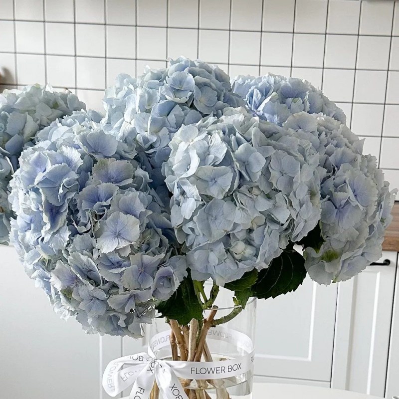 vaza-s-gortenziyami-№1665-1