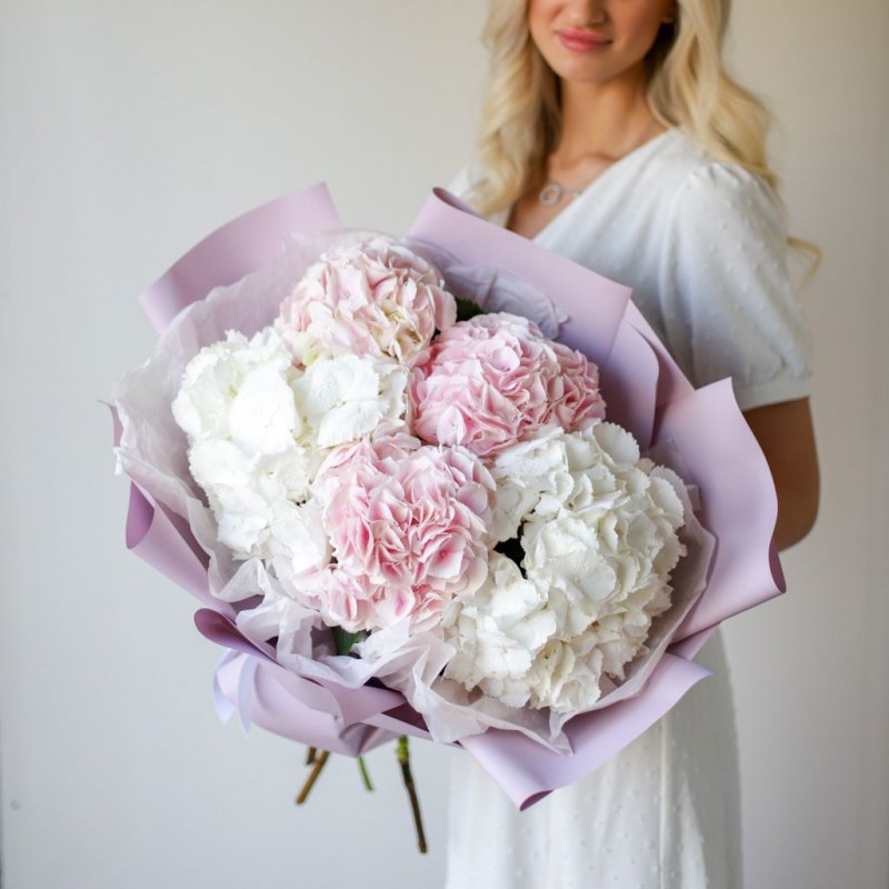 Гортензии купить в Кишиневе