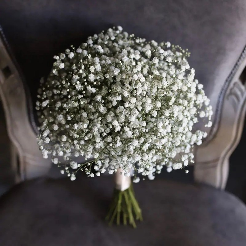 Букет невесты из гипсофилы Кишинев