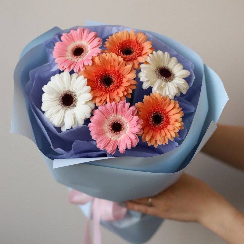 yarkij-miks-germini-v-golubom-oformlenii-№1407-1