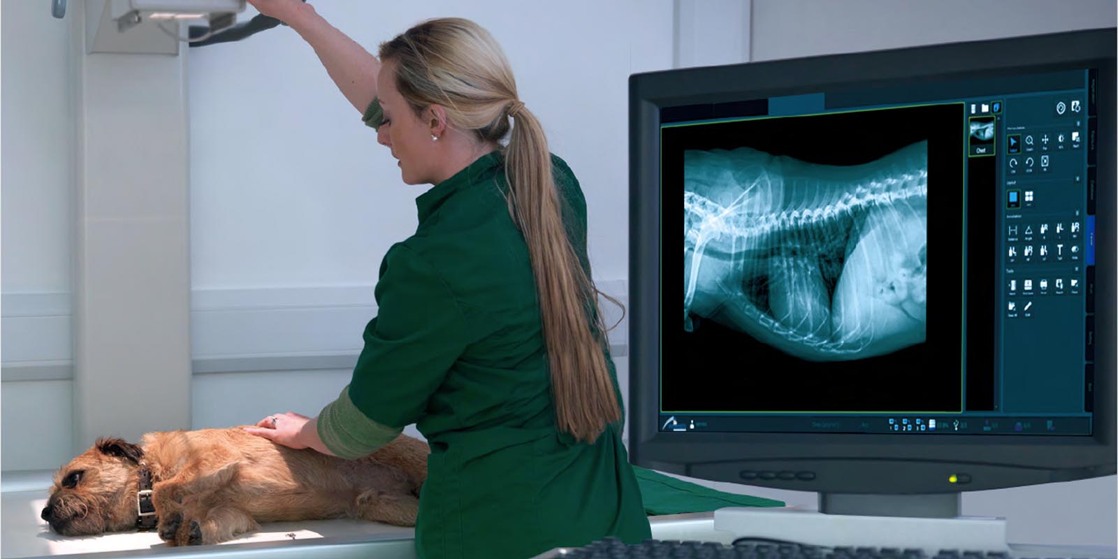 Особенности обустройства рентген-кабинета в ветеринарной клинике