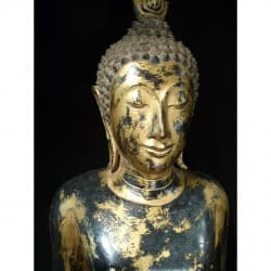 Antike Buddha-Büste aus Holz – Bangkok-Periode, Thailand, Ende 19. Jahrhundert, 100 cm - T20