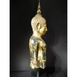 Antike Buddha-Büste aus Holz – Bangkok-Periode, Thailand, Ende 19. Jahrhundert, 100 cm - T20