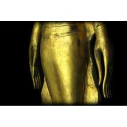 Antique Walking Buddha in Wood – Laos, 17th–18th Century, 105 cm - T137