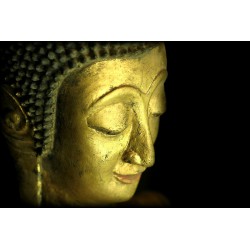 Antiker gehender Buddha aus Holz – Laos, 17.–18. Jahrhundert, 105 cm - T137