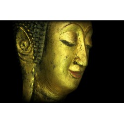 Antiker gehender Buddha aus Holz – Laos, 17.–18. Jahrhundert, 105 cm - T137