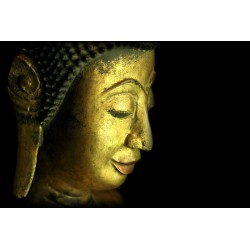 Antique Walking Buddha in Wood – Laos, 18th–19th Century, 105 cm - T138