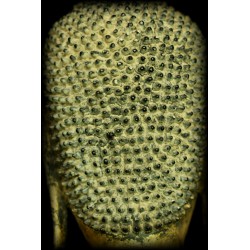 Antiker stehender Buddha aus Holz – Laos, 18.–19. Jahrhundert, 105 cm - T138