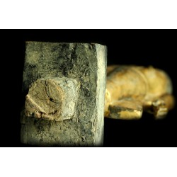 Antiker stehender Buddha aus Holz – Laos, 18.–19. Jahrhundert, 105 cm - T138