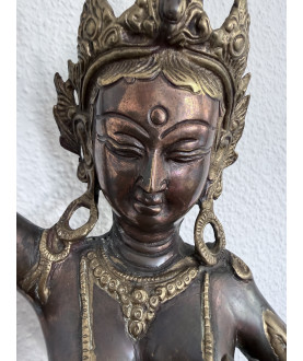 Maya Devi- bronze- AND317