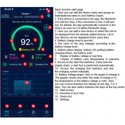 Batteri overvågning IntAct, 12V - 1
