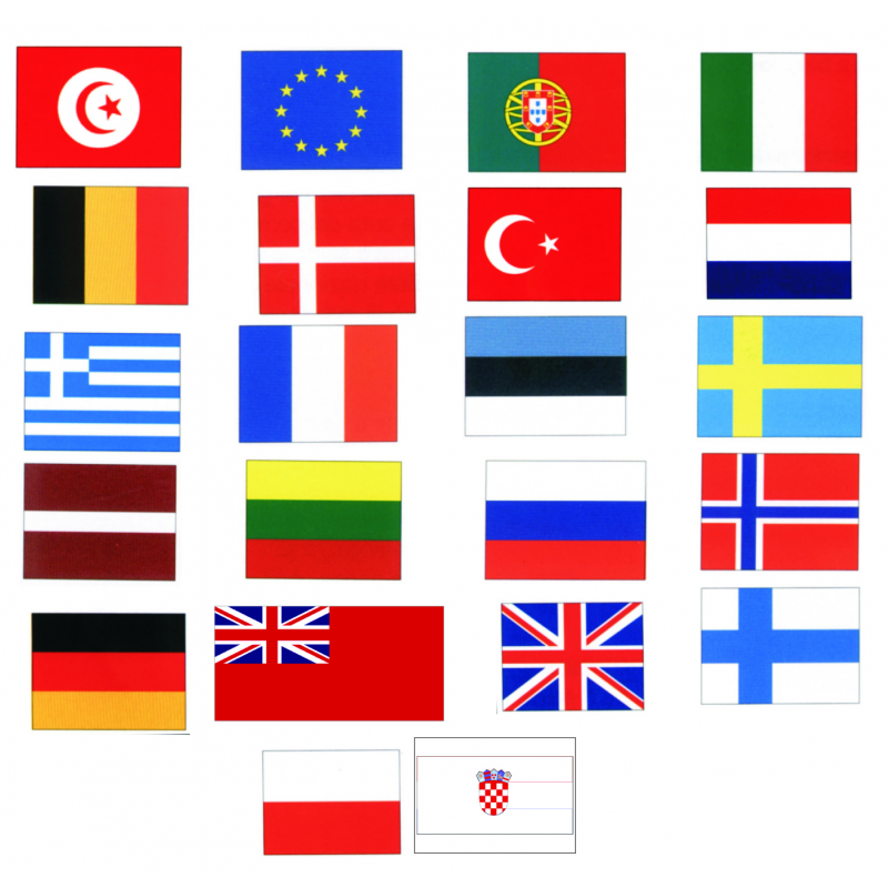 Gæsteflag 45 x 30 cm. - 18