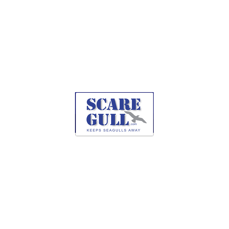 ScareGull