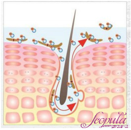//cdn.optipic.io/site-106815/issues/instruktsiya-po-rabote-s-apparatom-bm-002/BM-002 3.jpg