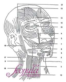 //cdn.optipic.io/site-106815/issues/instruktsiya-po-rabote-s-apparatom-im-9001/IM-9001 3.jpg