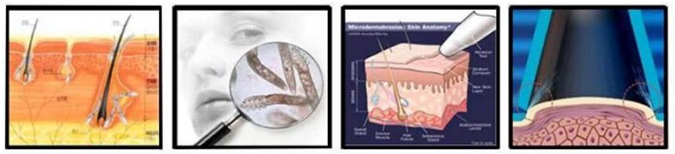 //cdn.optipic.io/site-106815/issues/instruktsiya-po-rabote-s-apparatom-bm-002/BM-002 8.jpg