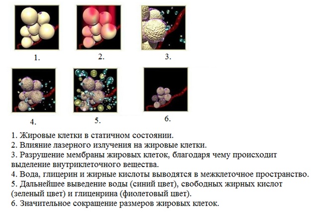 //cdn.optipic.io/site-106815/issues/instruktsiya-po-rabote-s-apparatom-nv-l650/тмд650 2.jpg