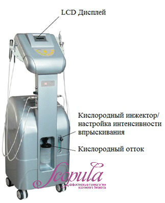 //cdn.optipic.io/site-106815/issues/instruktsiya-po-rabote-s-apparatom-kislorodnogo-pilinga-i-mikrotokovoy-terapii-g228a/G228A 2.jpg