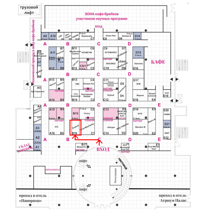 //cdn.optipic.io/site-106815/company/news/vystavka_beauty_forum_22_24_sentyabrya_2021_g_v_ekaterinburge/Frame 79.png