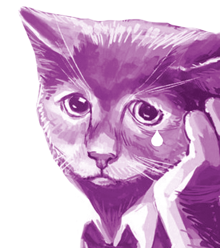 //cdn.optipic.io/site-106815/about/vozvrat-tovara/грустный котик.png