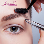 Бровист: онлайн-курс с выдачей свидетельства. Теория и практика (фото)