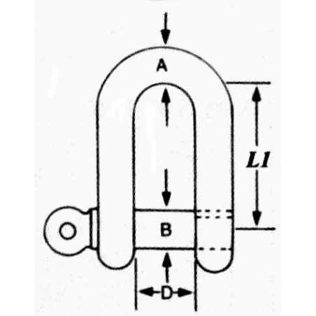 D-schackel rostfritt stål A2 AISI304 - 3