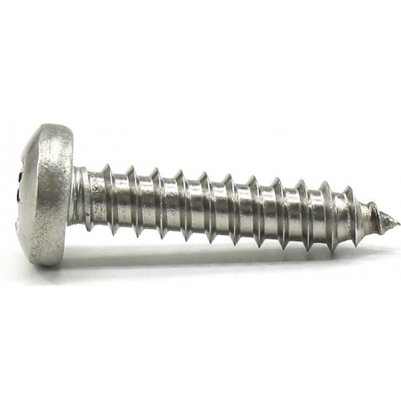 Självgängande skruv med panhuvuden och korsande urtag Din 7981 A4 - 2