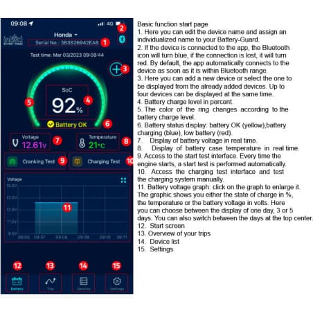 Batteri overvågning IntAct, 12V - 4