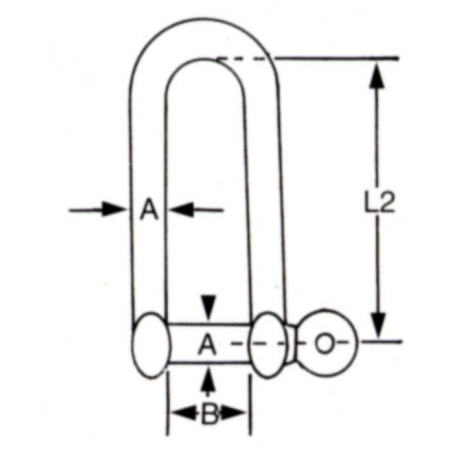 Lang D-sjækel i rustfrit stål AISI304 - 2