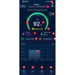 Batteri overvågning IntAct, 12V - 3