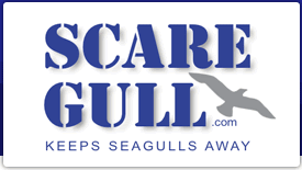 ScareGull