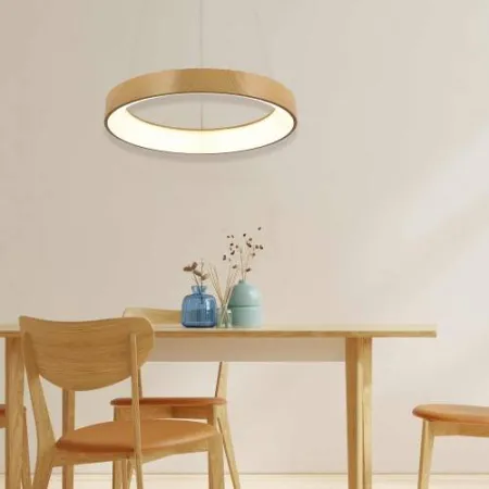 Lampara Circular : Alda Iluminacion: Tienda Iluminacion Barcelona