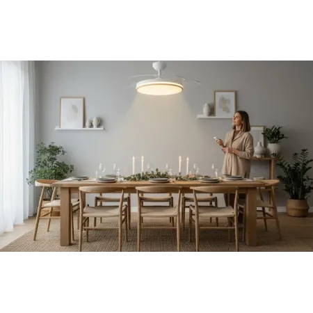 Ventilador-Tienda Lamparas Barcelona-AldaIluminacion