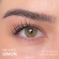 Labella Yeşil Renk Lemon (3 Aylık)