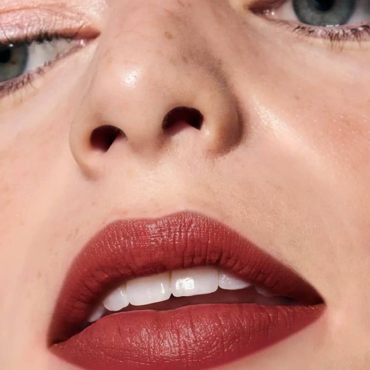 Lip Stylo 01 Reddish Brown Farmasi 1002551 | Barra de Labios Cremosa