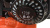 Мотоблок EXPERT 80 (8.0 л.с.) OLYMP MACHINERY