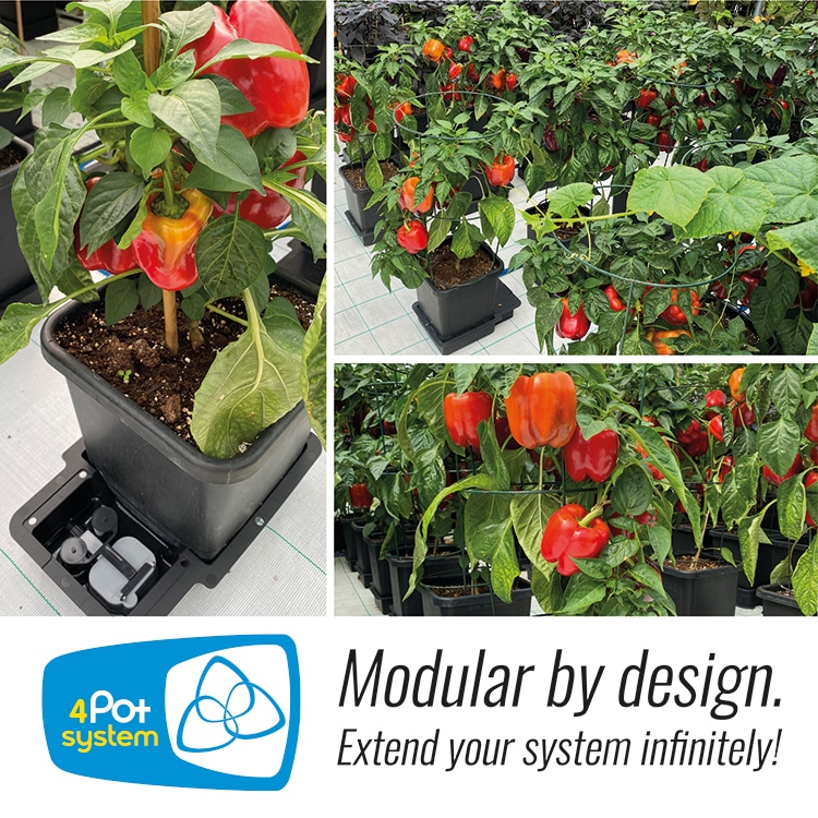 система автополива autopot 4pot system 
