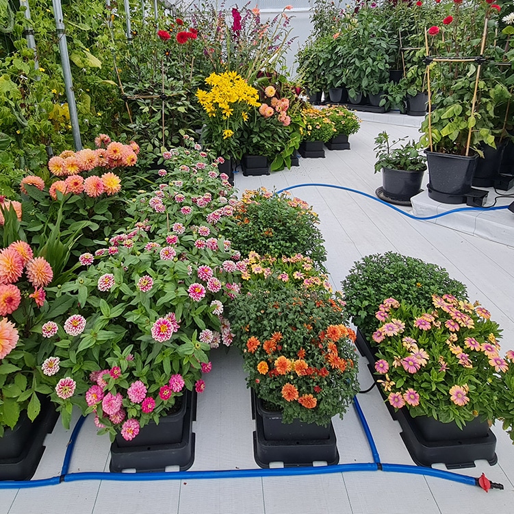 система автополива autopot easy2grow module 2*8,5л 