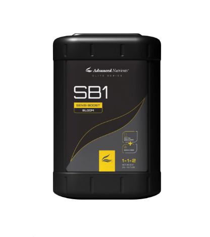 sb1 