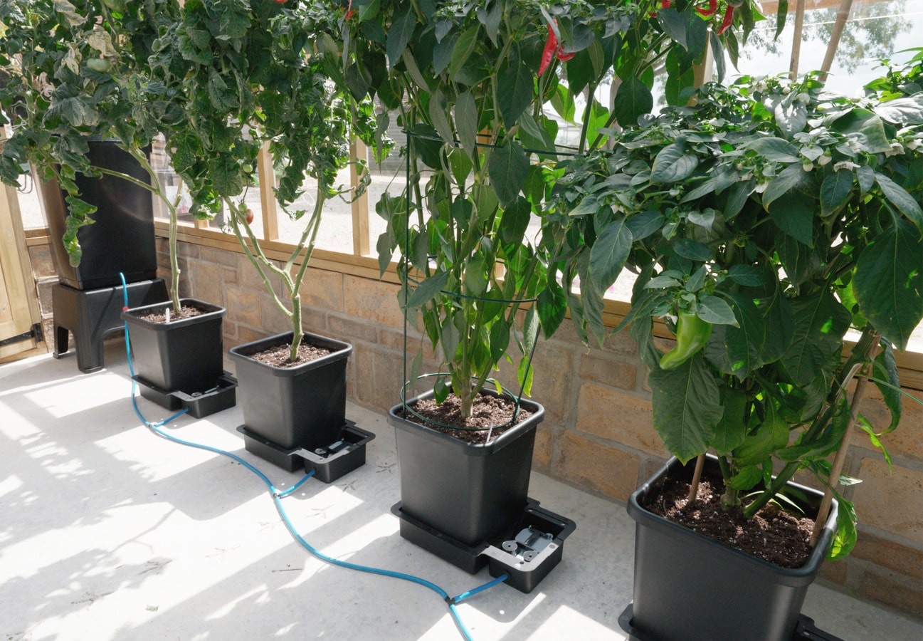 система автополива autopot 4pot system 