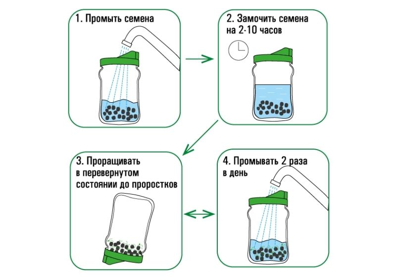 здоровья клад крышка-сито 