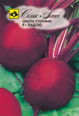 семена свекла пабло f1 