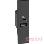 Розетка USB на 2 разъёма тип - A/C 15 Вт/3000мА 1 модуль, черный, Bticino Living Now