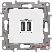 Розетка USB, белый, 672294 Legrand Etika