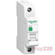 Автомат 16А, 1 полюс, тип С, Resi9 R9F14116 Schneider Electric