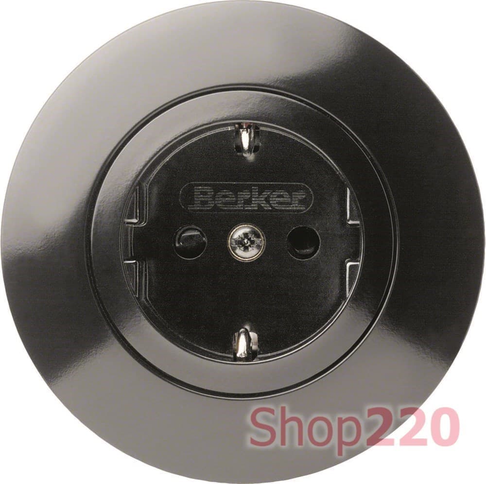 その他 WOOD SETTON ENGLAND 474521 Berker Розетка с заземлением, черный цена, купить в Киеве